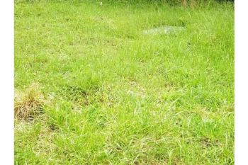 tanah dijual di lambhuk