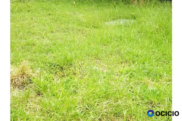 tanah dijual di lambhuk