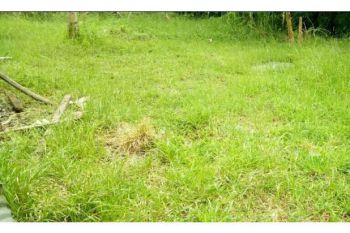 tanah dijual ie masen KA