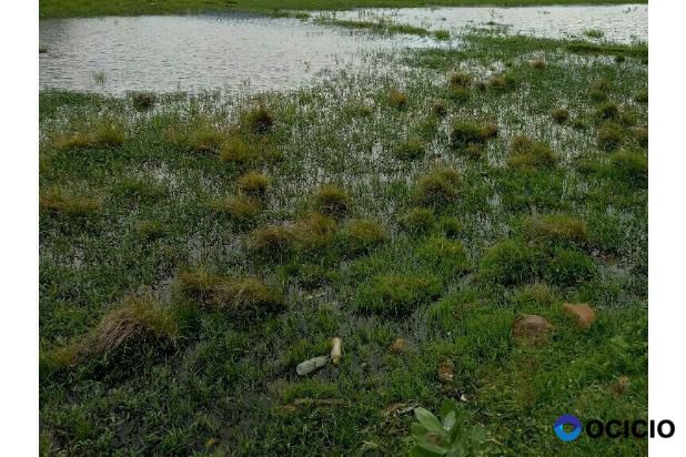 tanah dijual sangat murah