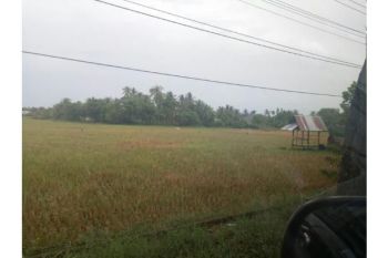 tanah dijual di jln bandara