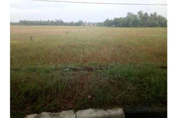 tanah dijual jln lambaro blang bintang