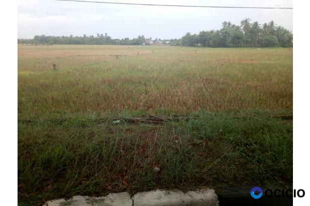 tanah dijual jln lambaro blang bintang