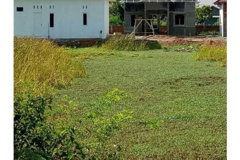 Sale Tanah: lahan dijual, batoh