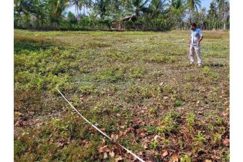tanah dijual di labui