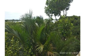 tanah super luas dijual lambaro skep