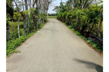 tanah dijual bisa kapling