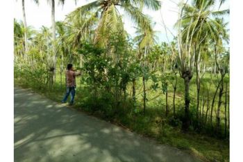 tanah lahan dijual di blang krung