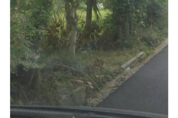 tanah lahan bangun dijual( lamreung)