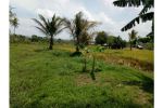 thumbnail-sale-tanah-tanah-lahan-dijual-1