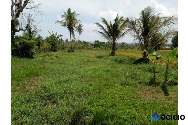 Sale Tanah: tanh dijual pango