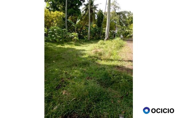 lahan bangun/ bagi hasil