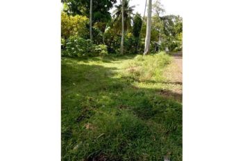 lahan bangun/ bagi hasil