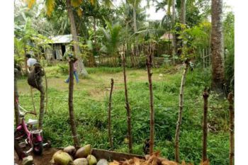 tanah dijual samping poltekkes aceh