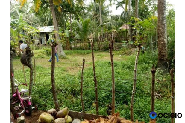 tanah dijual samping poltekkes aceh