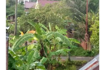 Tanah dijual dibelakang Rsuza