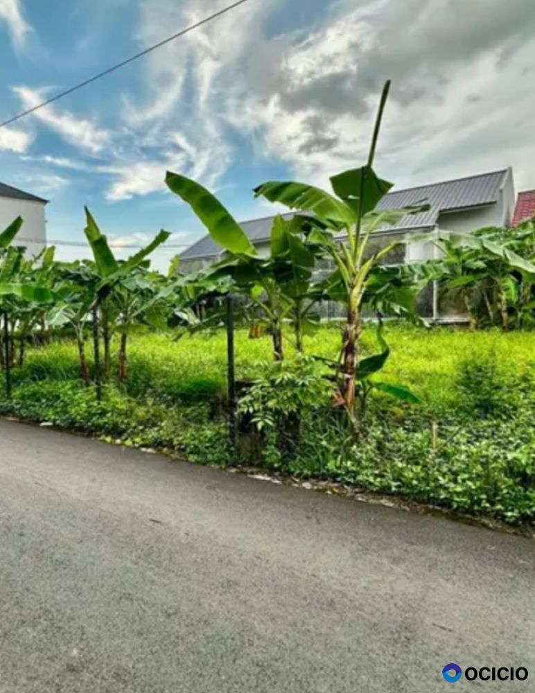 Tanah dijual dibelakang Rsuza