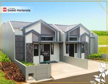 Harvest City Cluster Sweet Hortensia Tipe Solandra