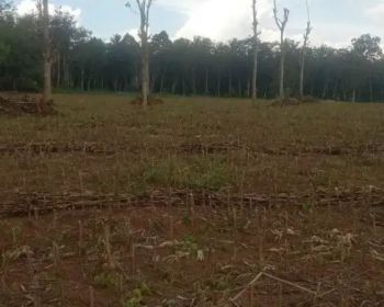 Tanah 10 hektar di tanjung bintang