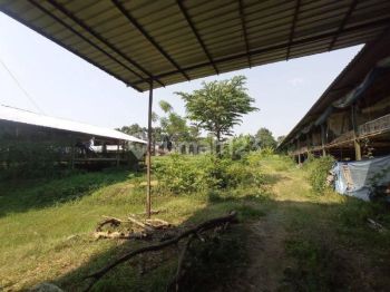 Tanah Luas Harga Terbaik Lokasi Strategis di Besuk, Probolinggo