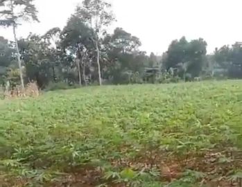 Tanah kebun di rulung sari natar