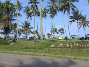 Tanah pantai 5000 meter di mandiri sejati krui