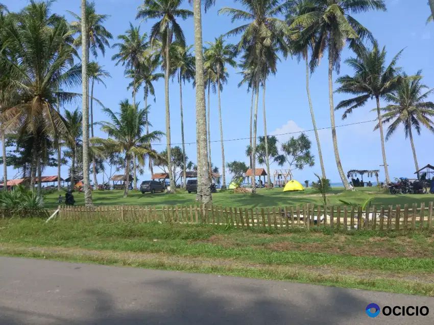 Tanah pantai 5000 meter di mandiri sejati krui