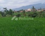 thumbnail-dijual-tanah-komersial-untuk-bertani-di-desa-cipejeung-kec-pacet-kab-bandung-5