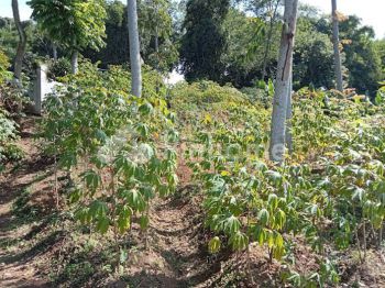 Dijual Tanah Residensial Lokasi Strategis di Jl. Raya Ciwidey