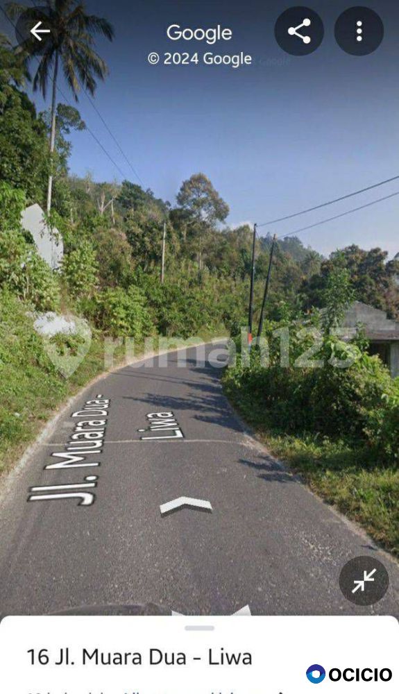 TANAH PERKEBUNAN VIEW DANAU RANAU DAN GUNUNG SEMINUNG SANGAT COCOK UNTUK BANGUN