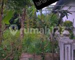 thumbnail-tanah-murah-cocok-untuk-di-bangun-rumah-tempat-tinggal-atau-usaha-lainny-di-jln-5