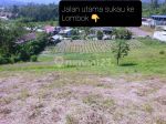 thumbnail-tanah-kebun-di-sukau-lampung-barat-2