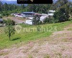 thumbnail-tanah-kebun-di-sukau-lampung-barat-3