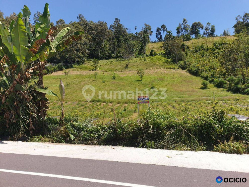 TANAH KEBUN DI SUKAU LAMPUNG BARAT