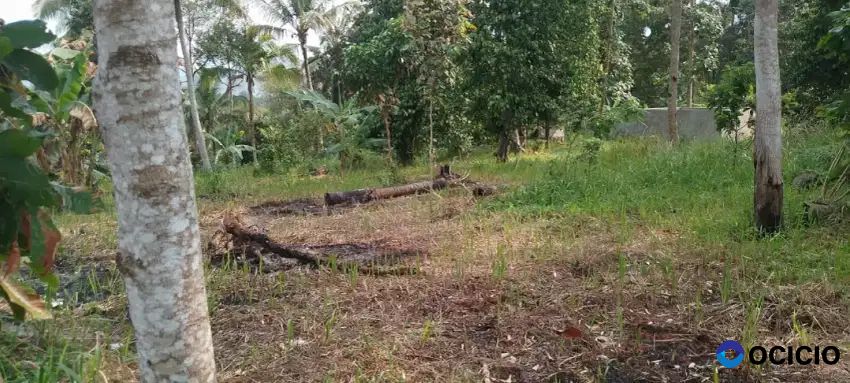 Tanah 3847 meter di kemiling bandar lampung