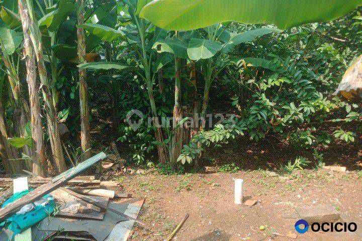 Dijual Tanah Dekat Setu Babakan Jagakarsa Jak Sel