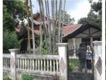 thumbnail-rumah-murah-dijual-via-lelang-lokasi-ciawi-puncak-cash-only-0