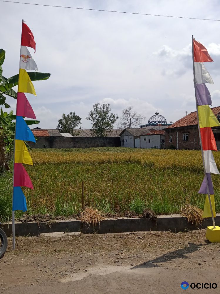 DI JUAL TANAH SAWAH SHM STATUS TANAH KERING