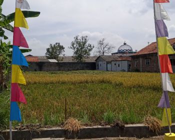 DI JUAL TANAH SAWAH SHM STATUS TANAH KERING