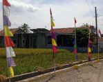 thumbnail-di-jual-tanah-sawah-shm-status-tanah-kering-1