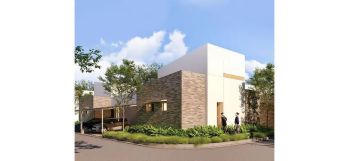 Samanea Hill Cluster Albizia Tipe Prime