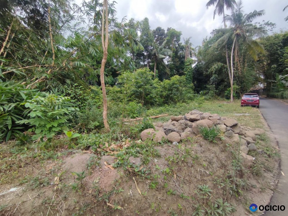 Tanah pekarangan murah