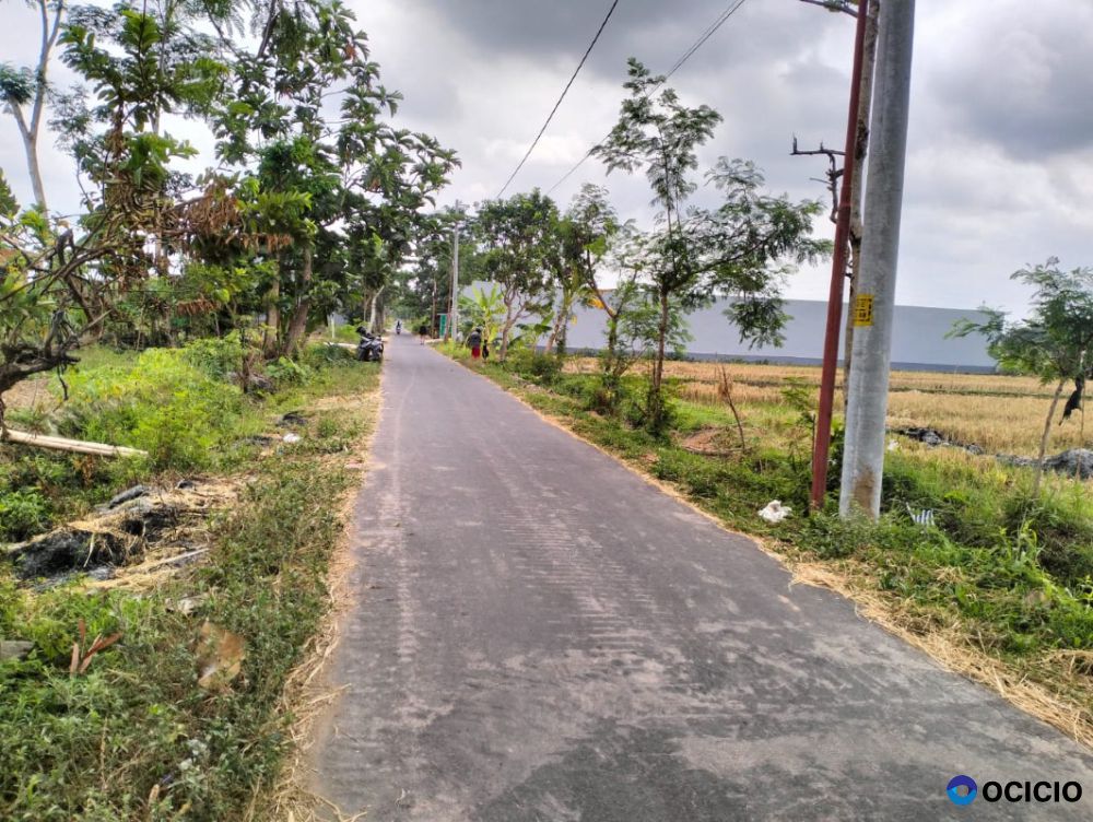 Tanah Sawah Murah Di Ngrajek Tirtonadi Mlati Sleman D.I Yogyakarta