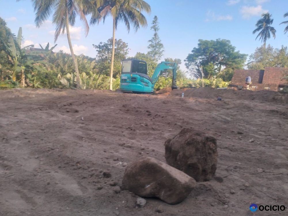 Tanah Pekarangan Lingkungan Sejuk Murah Di Karangrejo Sleman Yogyakarta