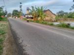 thumbnail-dijual-tanah-sawah-mangku-jalan-godean-sayegan-2