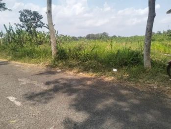 Dijual Tanah Pekarangan Di Cebongan Mlati Sleman