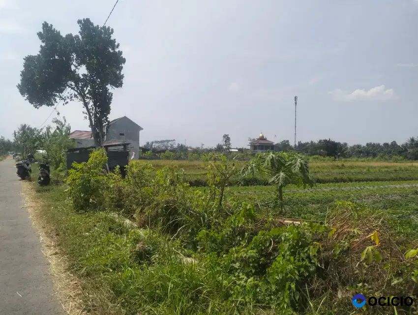 Dijual Tanah Sawah Di Sumberadi Mlati Sleman