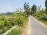 thumbnail-dijual-tanah-sawah-di-sumberadi-mlati-sleman-3