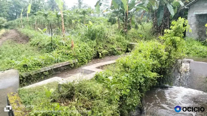 Dijual Tanah Sawah Timur Klinik SWA Turi Bawah