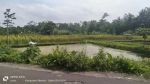 thumbnail-djual-tanah-sawah-di-burikan-sumberadi-mlati-sleman-1